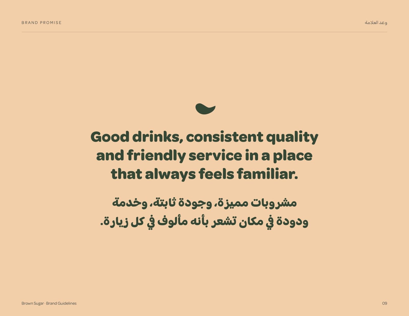 Brown Sugar brand guidelines page 9, by Envision Creative